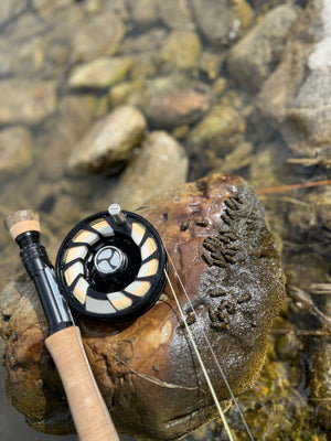 River Report September 16