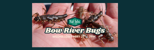 After Hours Presentation Series Session Eight - Bow River Bugs - Wednesday May 21st, 2025