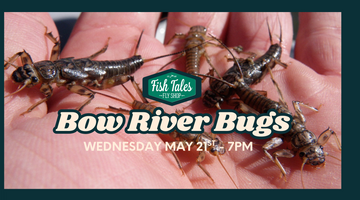 After Hours Presentation Series Session Eight - Bow River Bugs - Wednesday May 21st, 2025