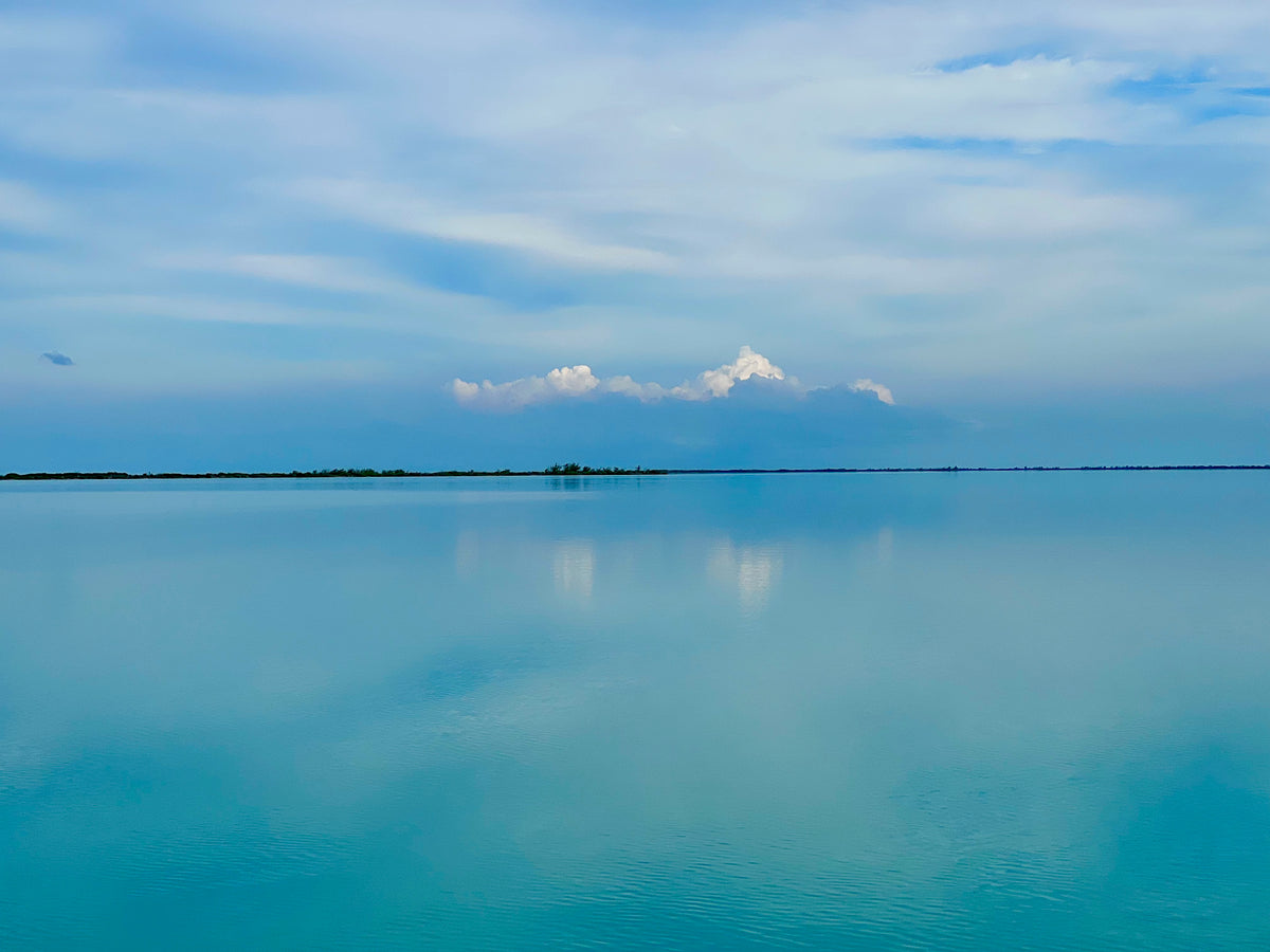 Cuba December 2021 Trip Report - Instalment Three