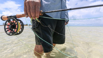 Person holding an Echo Boost Salt fly fishing rod and reel over sandy saltwater flats.