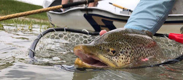 Fishing Report - Canada Day Long Weekend, 2017