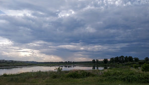 Water Report - end of June 2023