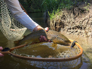 Fishing Report - June 5, 2017