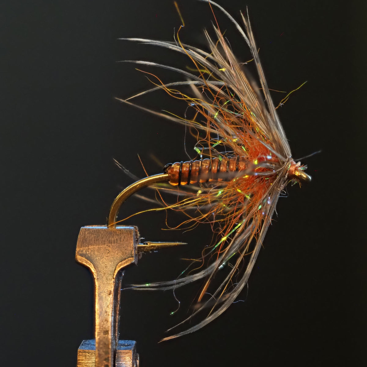 Fly Tie Tuesday - Soft Hackle March Brown 3/31/2020