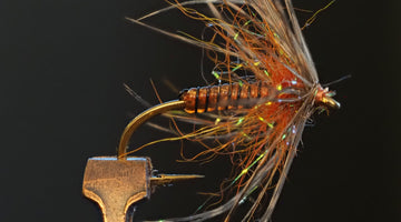 Fly Tie Tuesday - Soft Hackle March Brown 3/31/2020