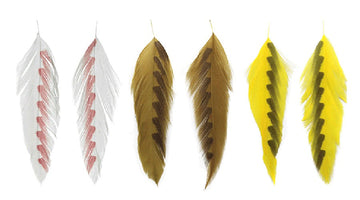 Product Review - MFC Galloup's Fish Feathers by Gideon Bennett