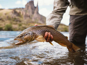 Argentina Trout - November/December 2026