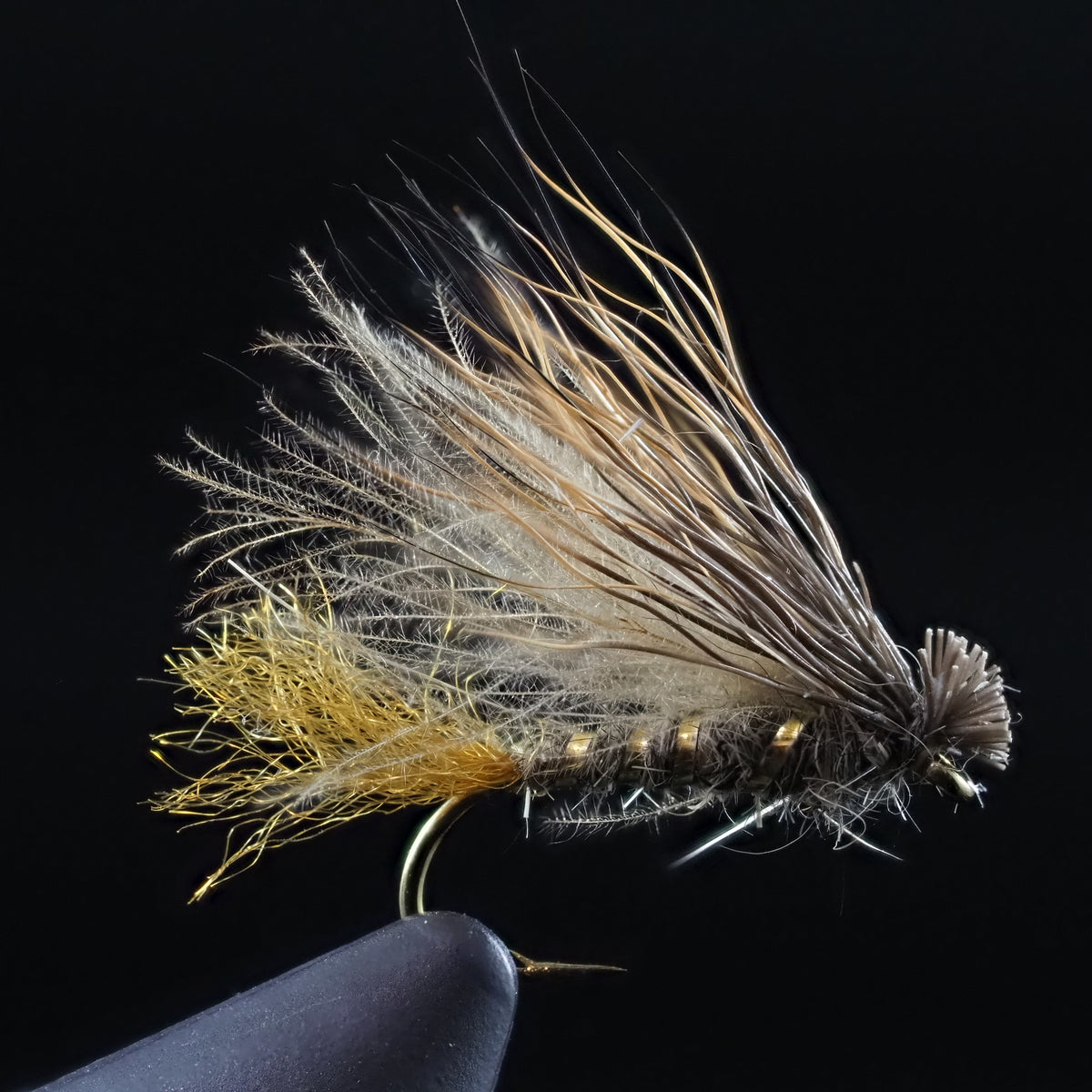 Fly Tie Tuesday – Pavlovich's CDC X-Caddis 06/23/2020