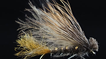 Fly Tie Tuesday – Pavlovich's CDC X-Caddis 06/23/2020