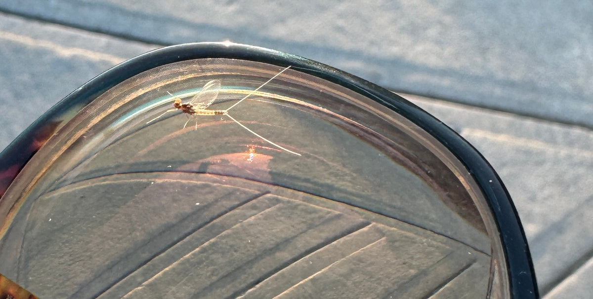 Fall - a favorite fishing season