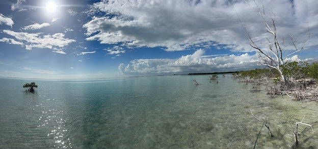 Zapata National Park Salinas Fishing Trip Report November 22 to 29, 2025