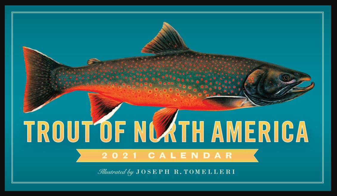 The New North American Trout Fishing