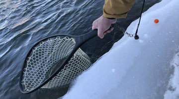 Bow River Fishing Report March 8, 2024
