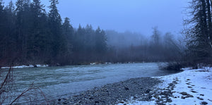 Bow River Report - February 23, 2024