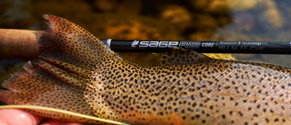 Shop By Brand - All Sage Fly Fishing