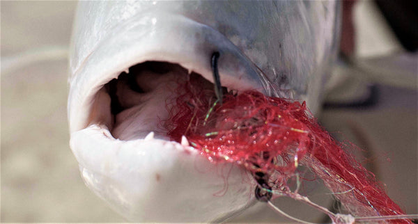 Fly Tying Hooks - Saltwater Hooks