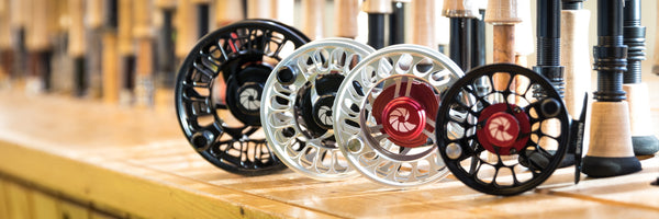 Shop By Brand - All Nautilus Reels