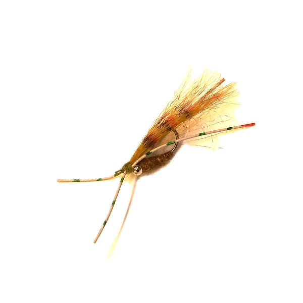 Catch Flies Hamilton's Tailers Beware Saltwater Fly