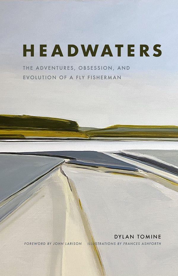 Headwaters by Dylan Tomine
