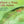 Where a Trout Calls Home by Mike Costello
