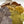 Whiting Farms Brahma Hen Soft Hackle Saddle with Chickabou Patch
