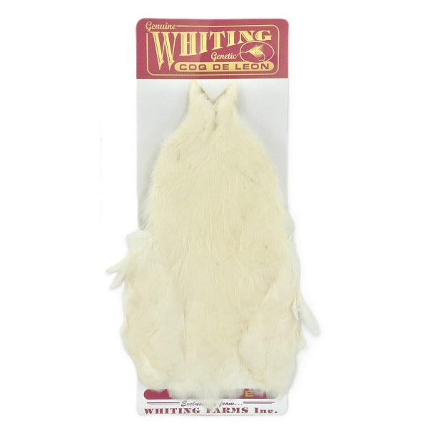 Whiting CDL Hen Cape