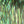 Hedron Flashabou Dyed Pearl