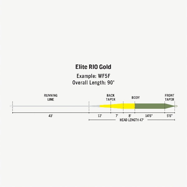 Rio Elite Gold Floating Fly Line – Fish Tales Fly Shop
