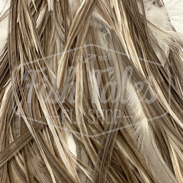 Whiting Farms Hebert Miner Rooster Full Saddle