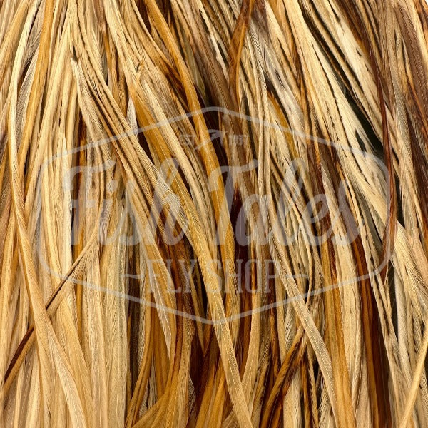 Whiting Farms Hebert Miner Rooster Full Saddle