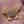 Beast Brushes Flats Craft Moon Crab Legs