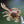 Load image into Gallery viewer, Beast Brushes Flats Craft Mutineer Fleeing Crab Legs
