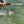 Orvis Helios D Saltwater/Big Game Fly Rod 2024