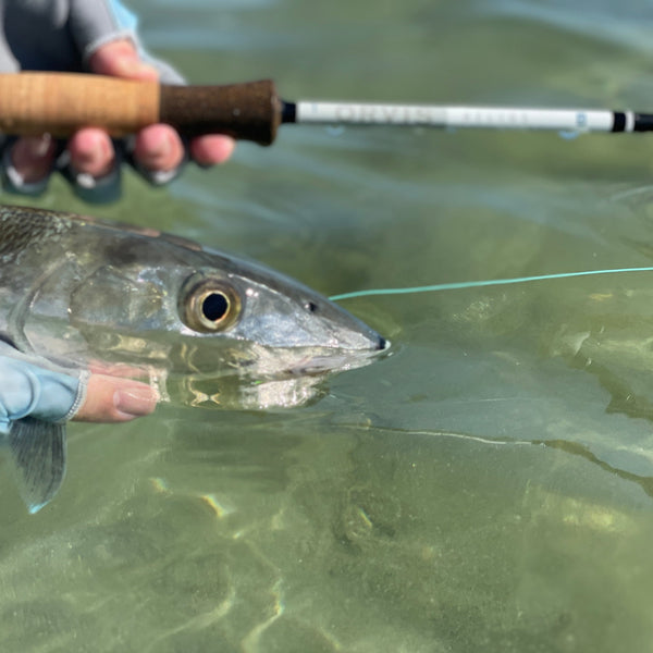 Orvis Helios D Saltwater/Big Game Fly Rod 2024