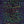 Textreme Body Fly Pearl