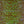 Textreme Body Fly Pearl