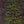 Textreme Body Fly Pearl