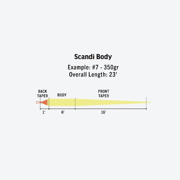Rio Scandi Floating Body