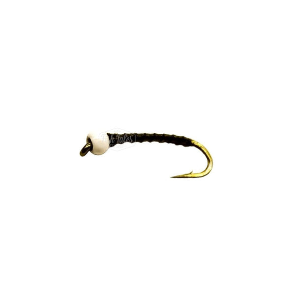 BDC Bruiser stillwater chironomid fly with black body and white bead on a white background.