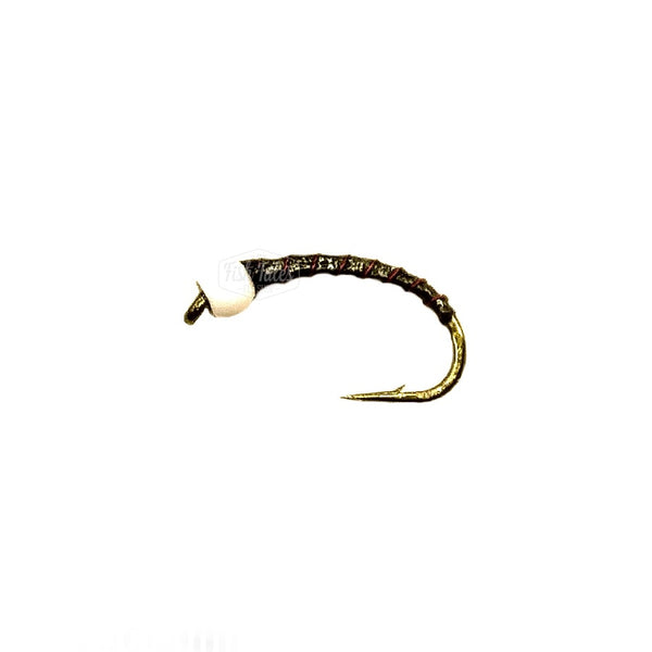 BC Fly Guys Zucchini Holo Chironomid Pupa