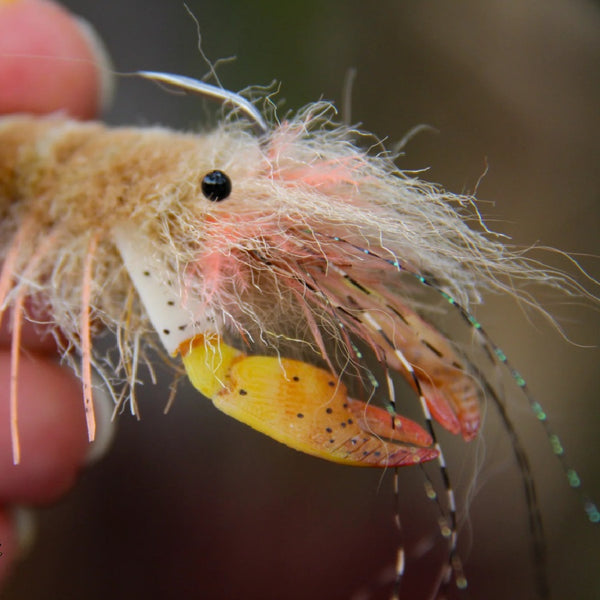 Beast Brushes Flats Craft Cray Craws