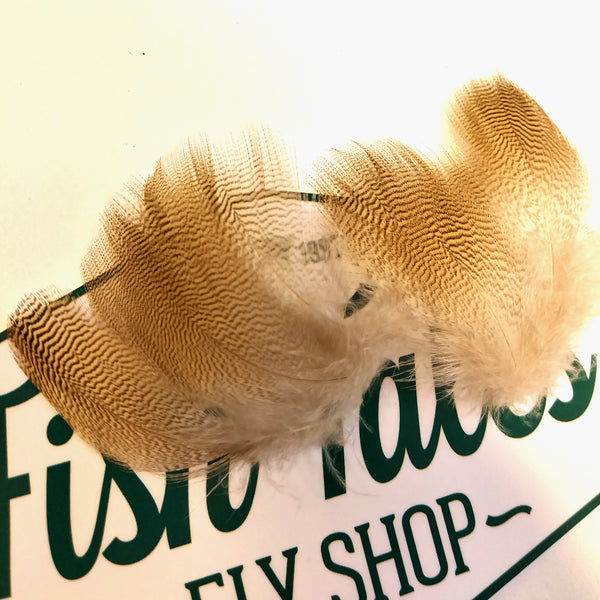 loose bronze mallard feathers for fly tying on top of the fish tales logo