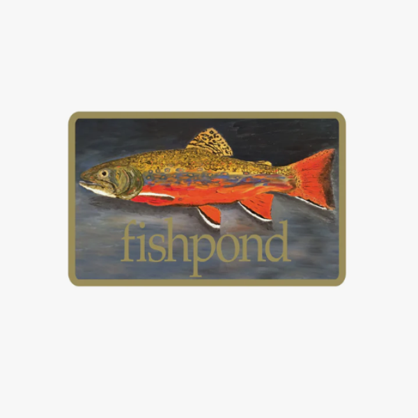 Fishpond Brookie Sticker