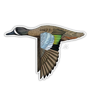Casey Underwood blue winged teal decal on a white background.