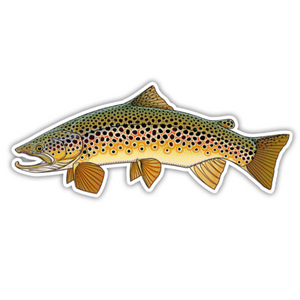 A decal of a brown trout designed by Casey Underwood, with realistic colors and patterns, against a white background.