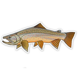 A Casey Underwood decal featuring an illustration of a bull trout with a left-facing orientation, against a white background.
