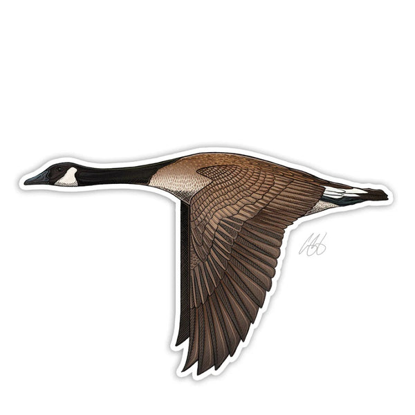 Casey Underwood Canada Goose Decal