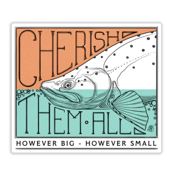A Casey Underwood decal featuring an illustration of a fish with the text 'cherish them all' and the tagline 'however big - however small', against a white background.