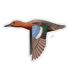 Casey Underwood cinnamon teal decal on a white background.